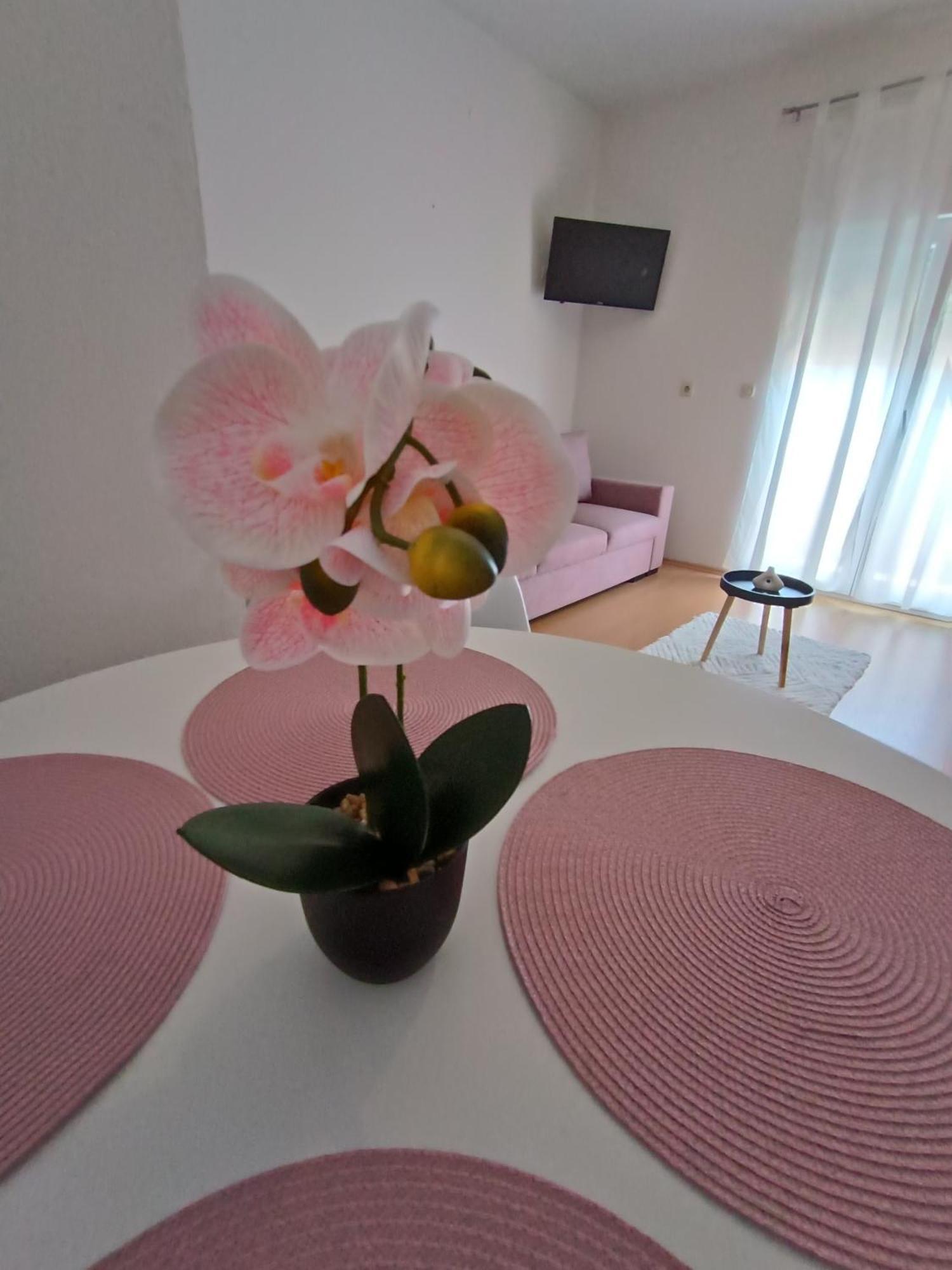 Apartman Lea Sukošan Dış mekan fotoğraf